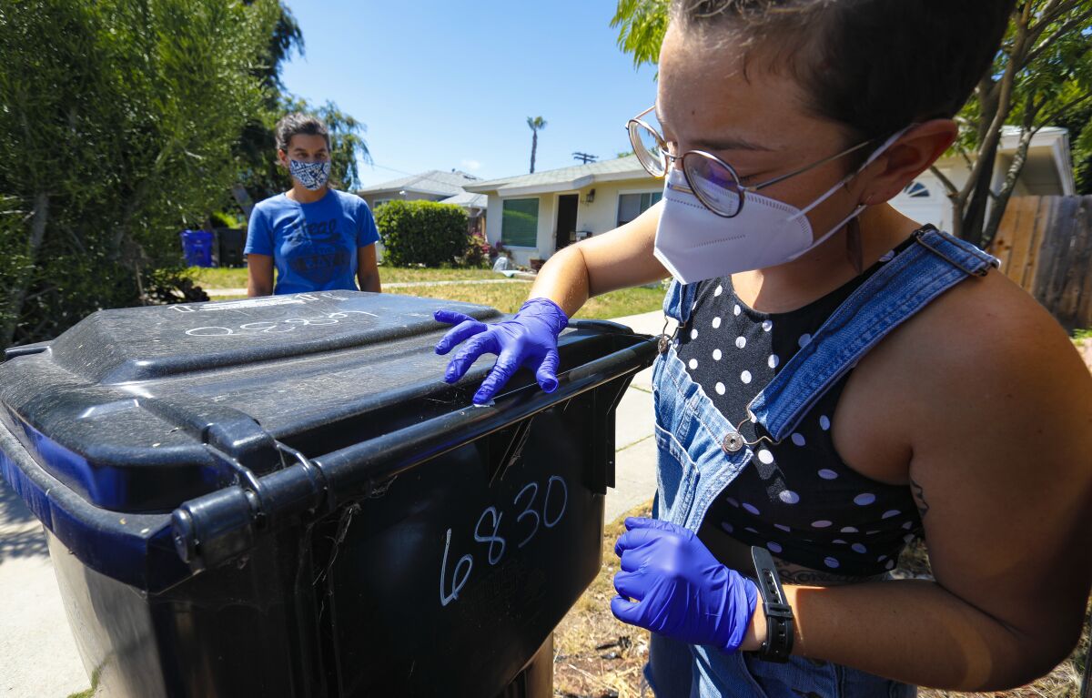 Keira McGee uses a swab to collect a sample from a trash can outside her College-area home Wednesday. A costume creator for a local theatre, McGee signed up with a new initiative from San Diego State University that seeks to find and better understand how novel coronavirus spreads and mutates on common shared surfaces. Also taking part in the citizen science project is her roommate, Jacque Rosa.