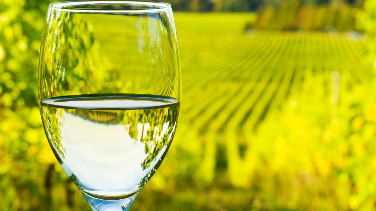 Dry white wines are great for hot days.