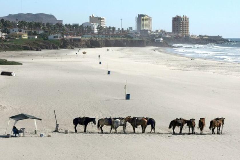 Horses available for rent for seaside rides rest on the sand in front of the Rosarito Beach Hotel. Their owner said he had had only two customers that day, and the summer was his slowest in 30 years.
