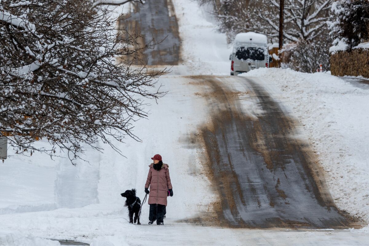 A woman walks her dog on a snow-covered street 