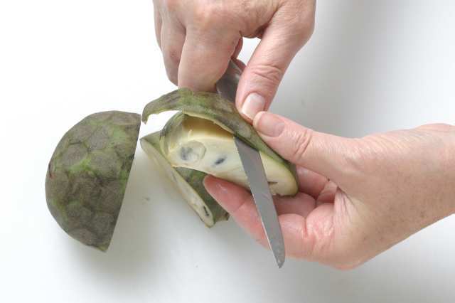 Using a cherimoya