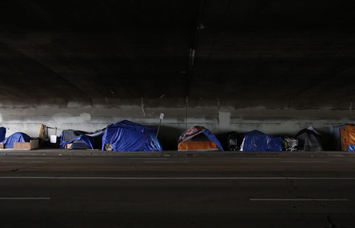 A tent encampment under a 101 Freeway bridge near Echo Park.