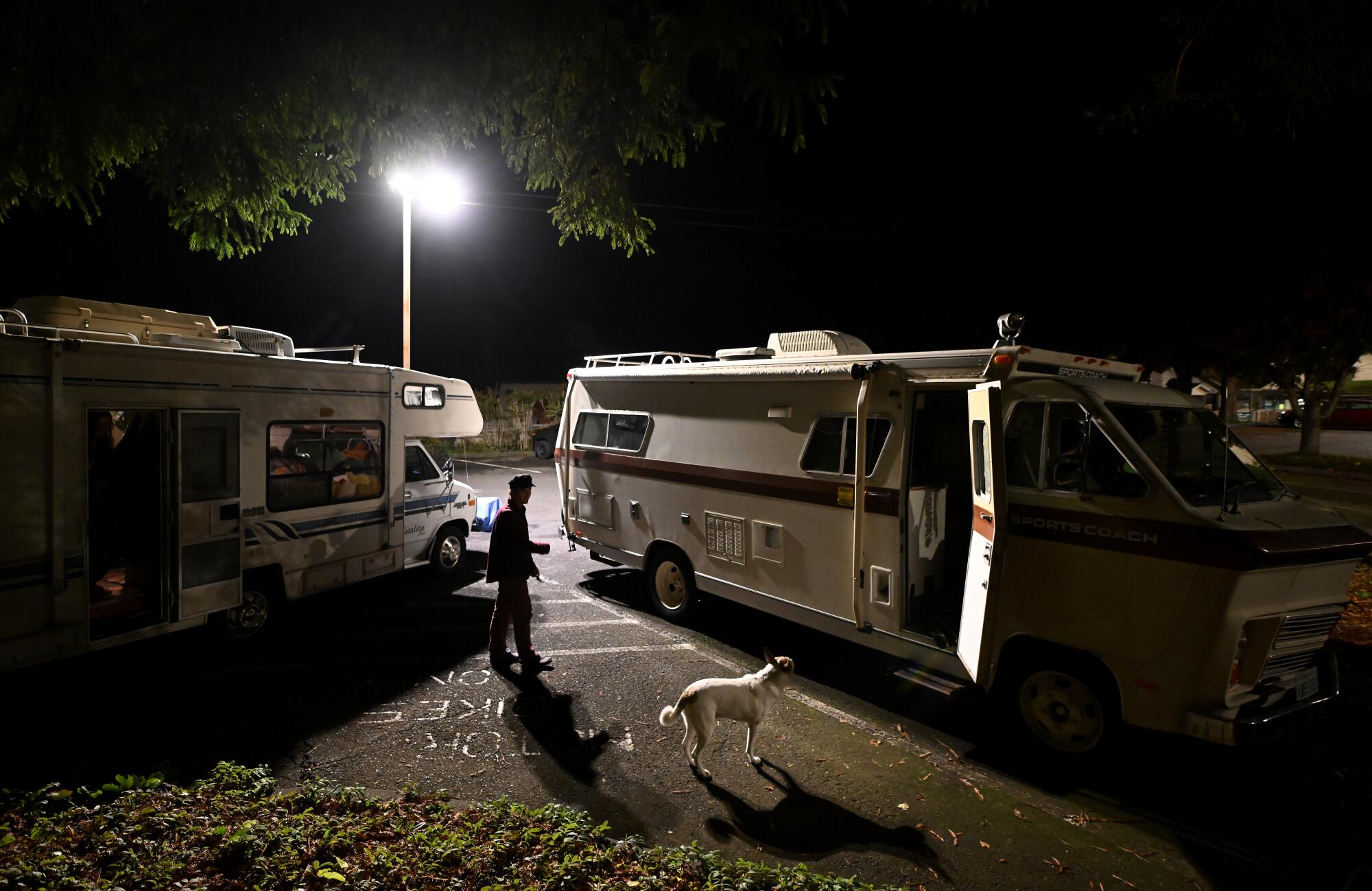 A person and a dog stand between two RVs at night.
