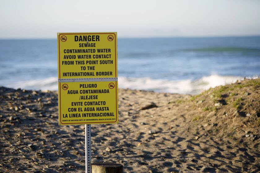 Contaminated water signs posted along the southern part of the beach, as Imperial Beach prepares for the King Tide along the San Diego coastline, Jan. 10, 2019. The U.S. Environmental Protection Agency has announced a $630 million plan to capture and treat sewage-tainted water that routinely flows over the border from Tijuana into San Diego Bay. (Alejandro Tamayo/The San Diego Union-Tribune via AP)