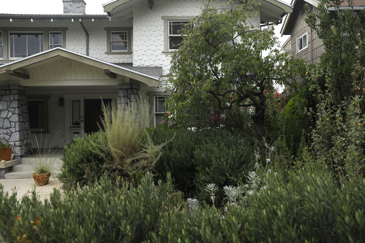 A house with a yard filled with native and drought-tolerant plants