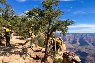 Responders at Yavapai Point on August 2, 2024