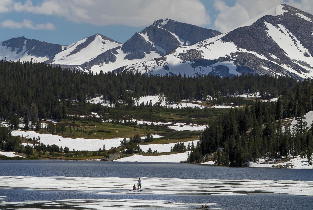 In early July, two standup paddle boarders skim along the icy waters of Tioga Lake off Highway 120.