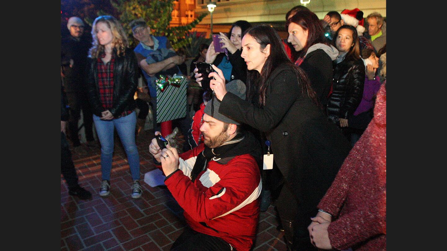 Photo Gallery: City of Glendale Tree Lighting