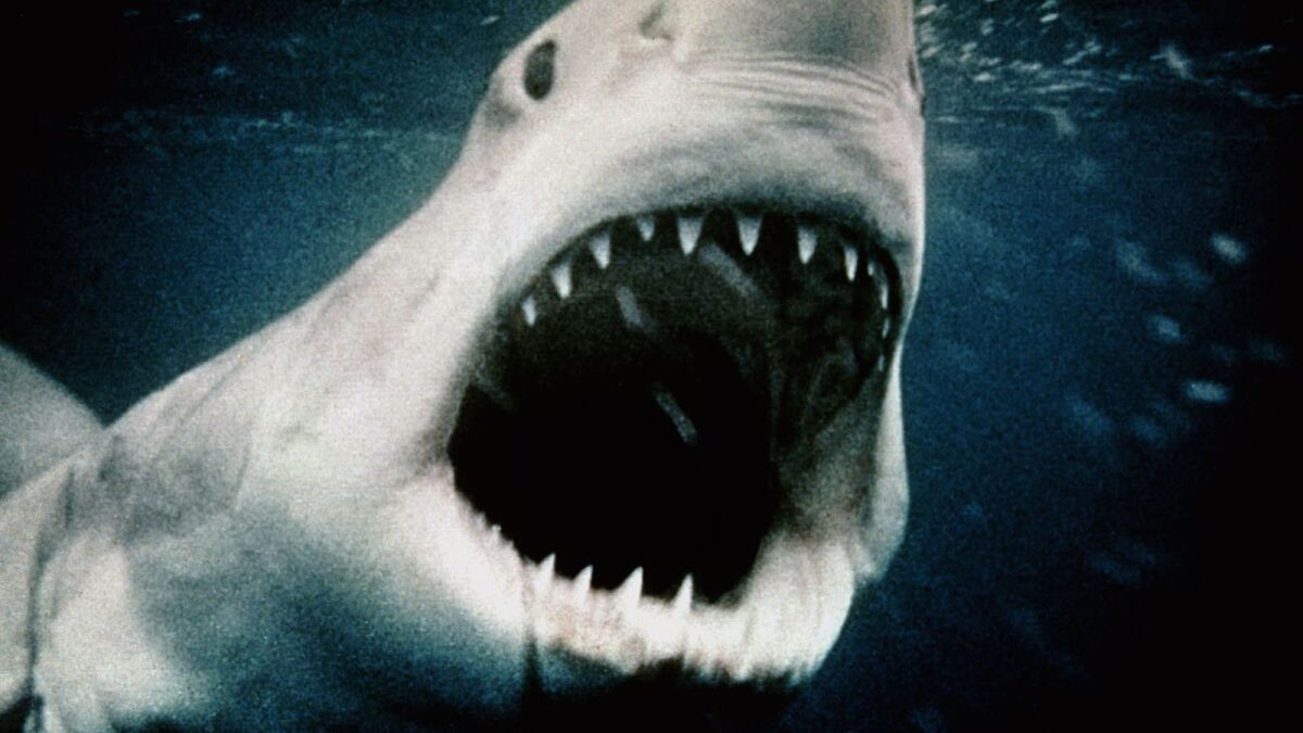 The shark from Steven Spielberg's 1975 blockbuster "Jaws."
