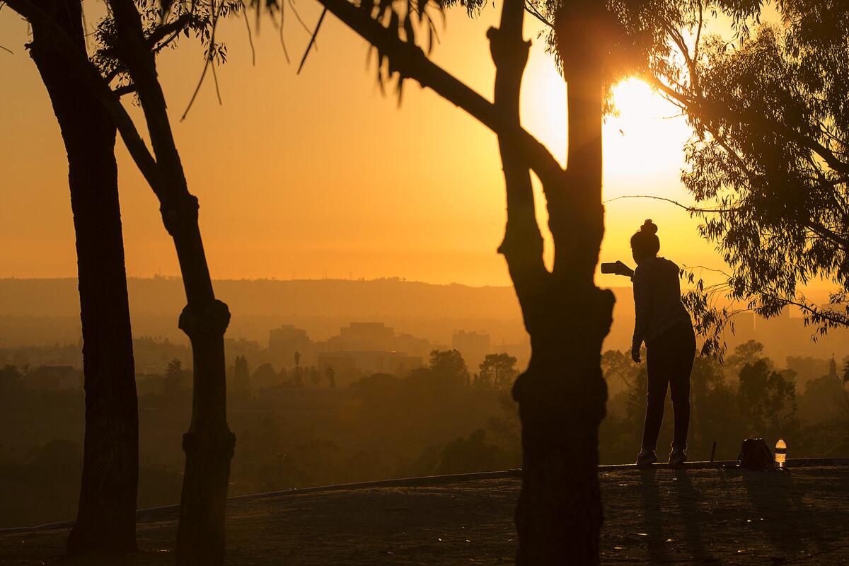 Two hikers walk a trail in Elysian Park.