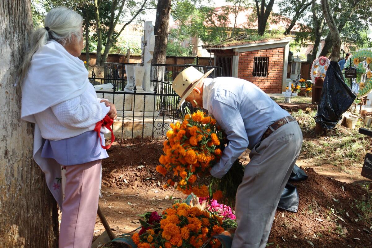 “Los muertos ven el color amarillo de las flores