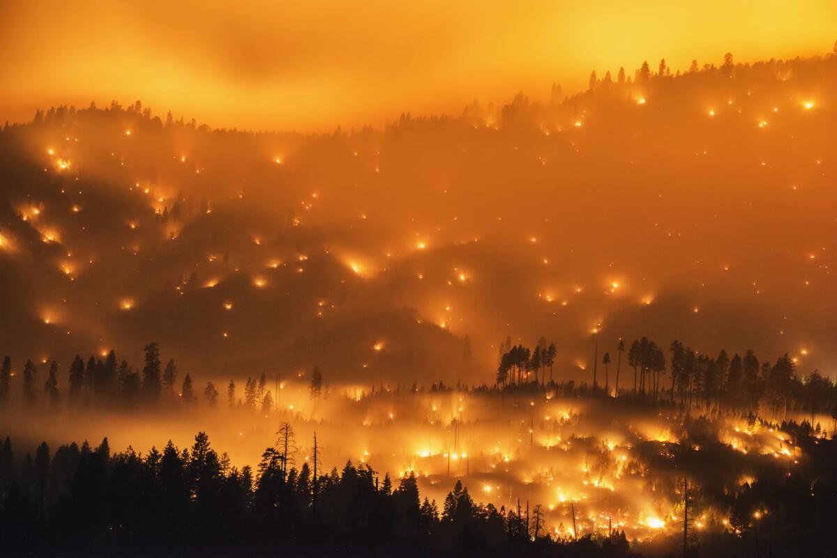The El Portal fire burns above Foresta and El Portal near Yosemite National Park in July 2014.