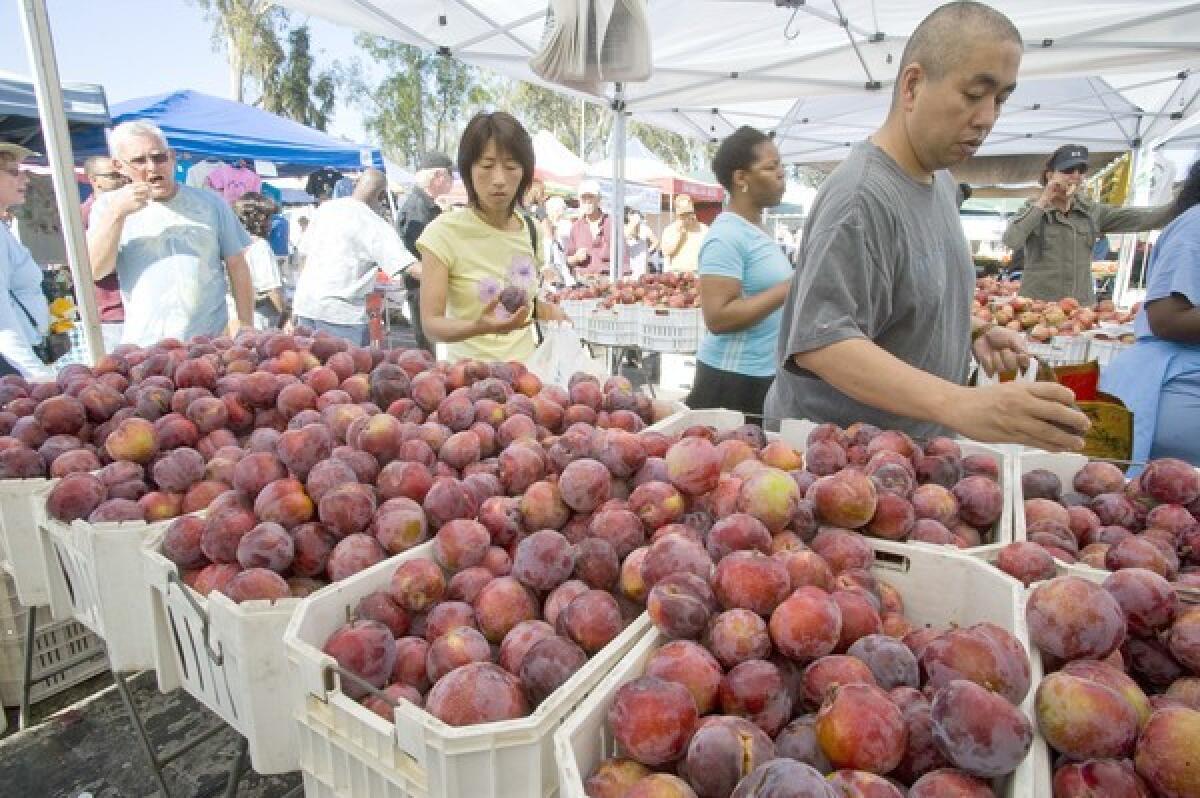 Flavor King Pluots, one of the most delicious varieties, grown by Ken Lee in Reedley, at the Torrance farmers market.