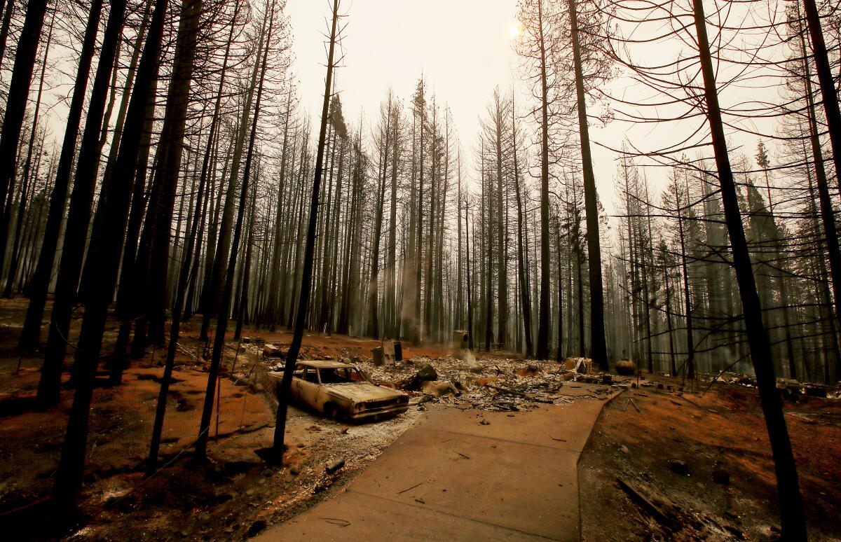 The Caldor fire leaves a moonscape of burnt forest, homes and vehicles in the community of Grizzly Flats