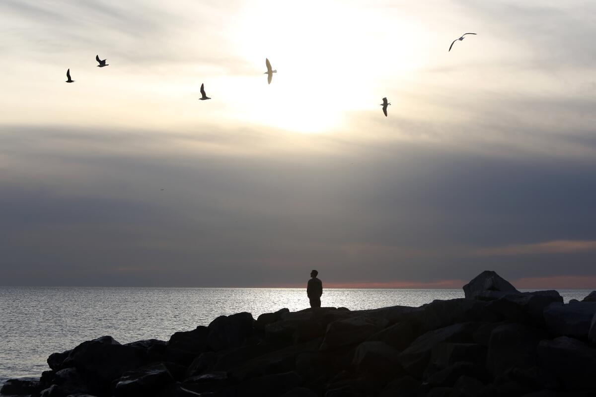 A beach-goer looks out onto the Pacific Ocean from Pacific Palisades in Los Angeles.
