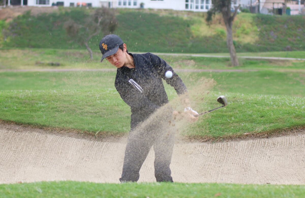 Junior Colin Li was low scorer for D-1 champion Torrey Pines.