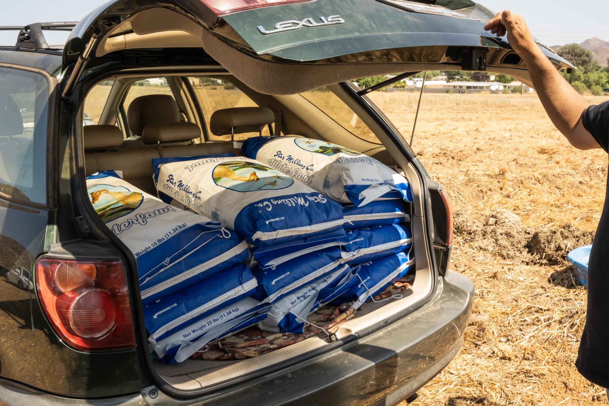 In the back of a car are bags of bird food.