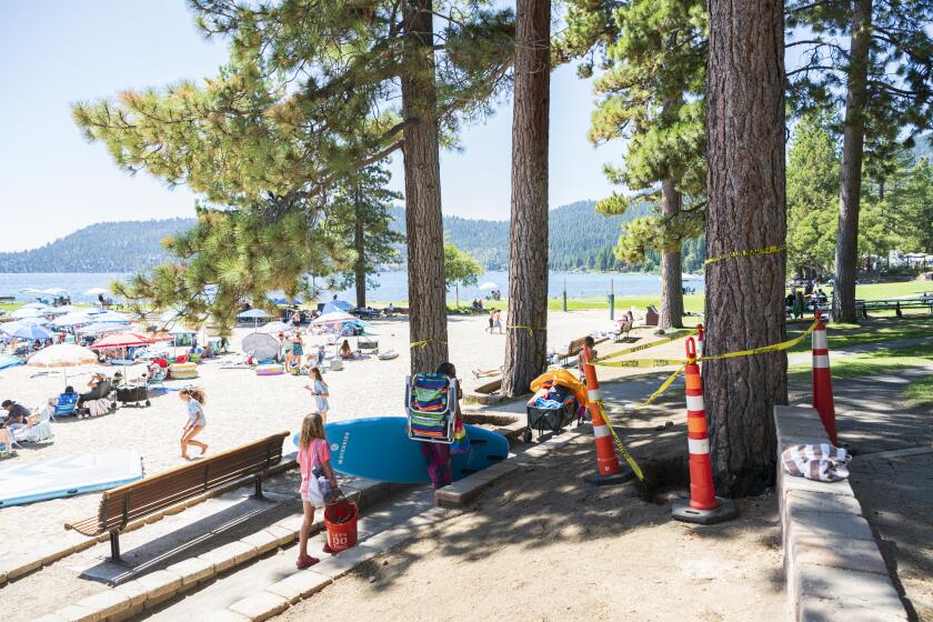 INCLINE VILLAGE, NEVADA, Aug. 6, 2026-- . Several large trees at Burnt Cedar Beach in Incline Village, Nevada were recently poisoned. In this photo taken August 6, 2026, several poisoned trees are cordoned off while workers remove contaminated soil at Burnt Cedar Beach in Incline Village, Nevada. (Scott Sady / For The Times)