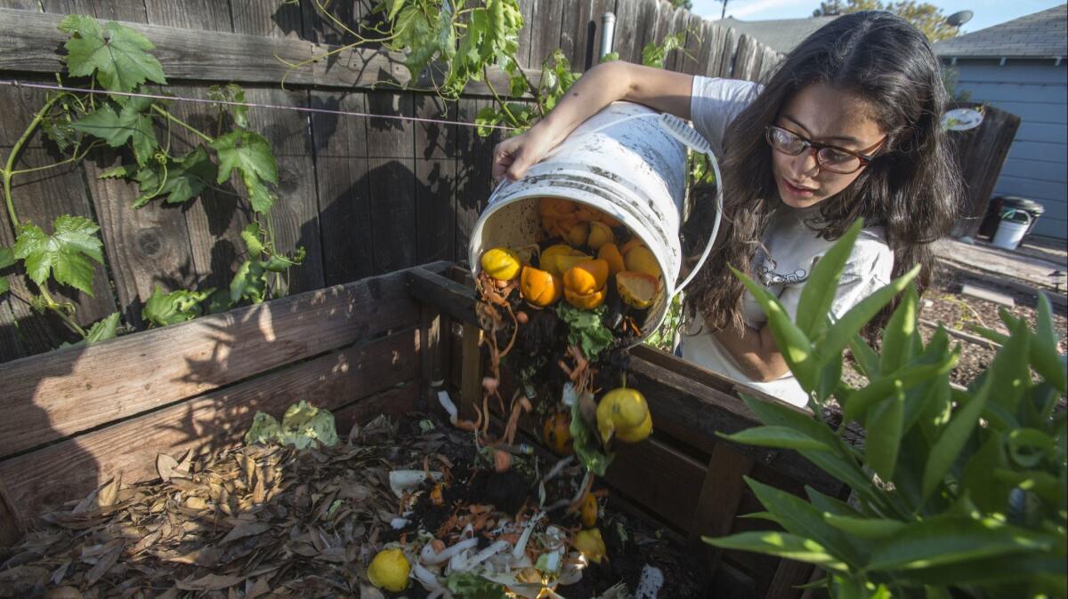 The Los Angeles-based nonprofit L.A. Compost hosts free composting classes on June 24 at Spring Street Community Garden and June 30 at GrowGood.
