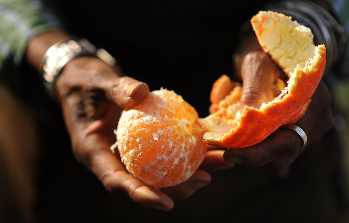 Renée Günter peels a tangelo at Daily Organics.