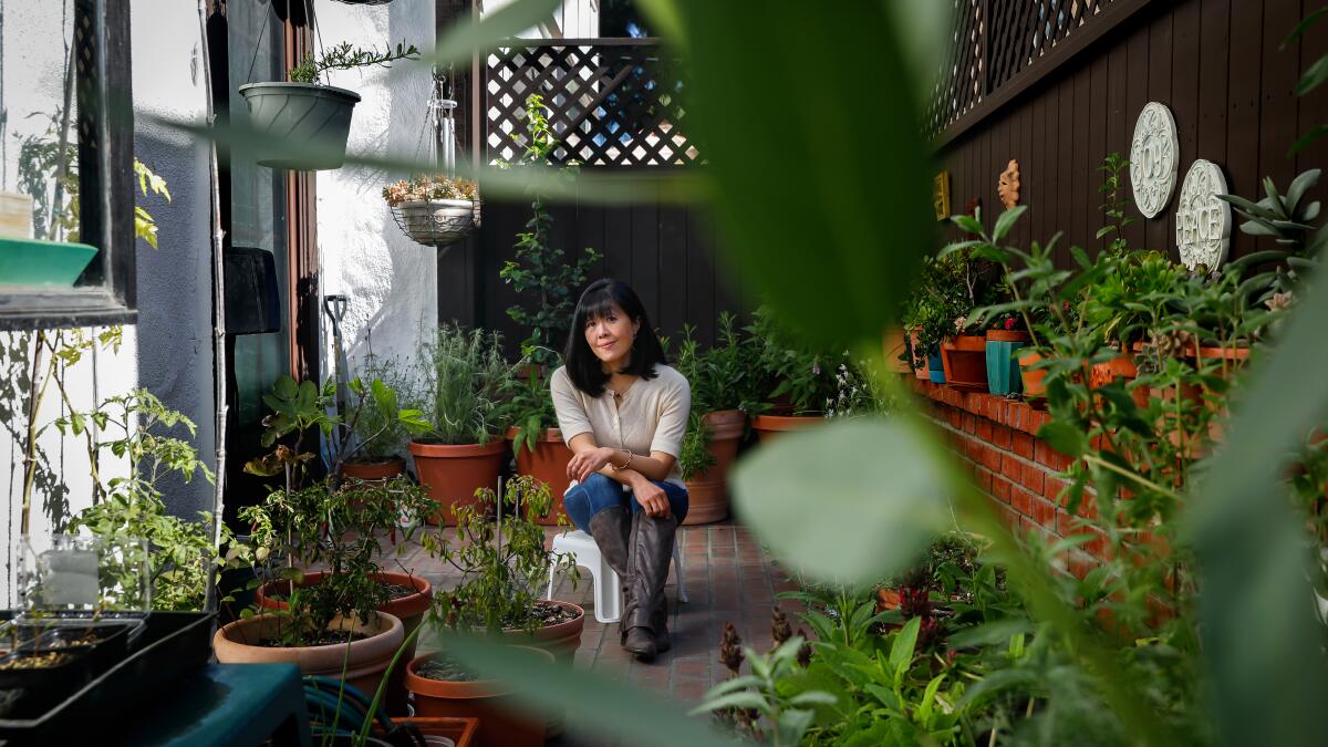 How to create a patio habitat in pots with native plants - Los Angeles Times