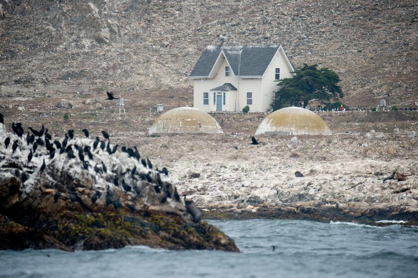 SAN FRANCISCO, CA - JUNE 30, 2019 - A researcher (seen in orange) is one of the only people living on the Farallon Islands about 30 miles off the coast of San Francisco, California on June 30, 2019. (Josh Edelson/For the Times)