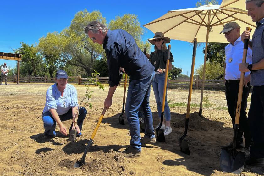 California Gov. Gavin Newsom breaks ground at a new state park in a decade on Monday April 22, 2024 at the Dos Rios property, in Modesto, Calif. The announcement comes as the state sets targets for cutting planet-warming emissions on natural lands. (AP Photo/Sophie Austin)