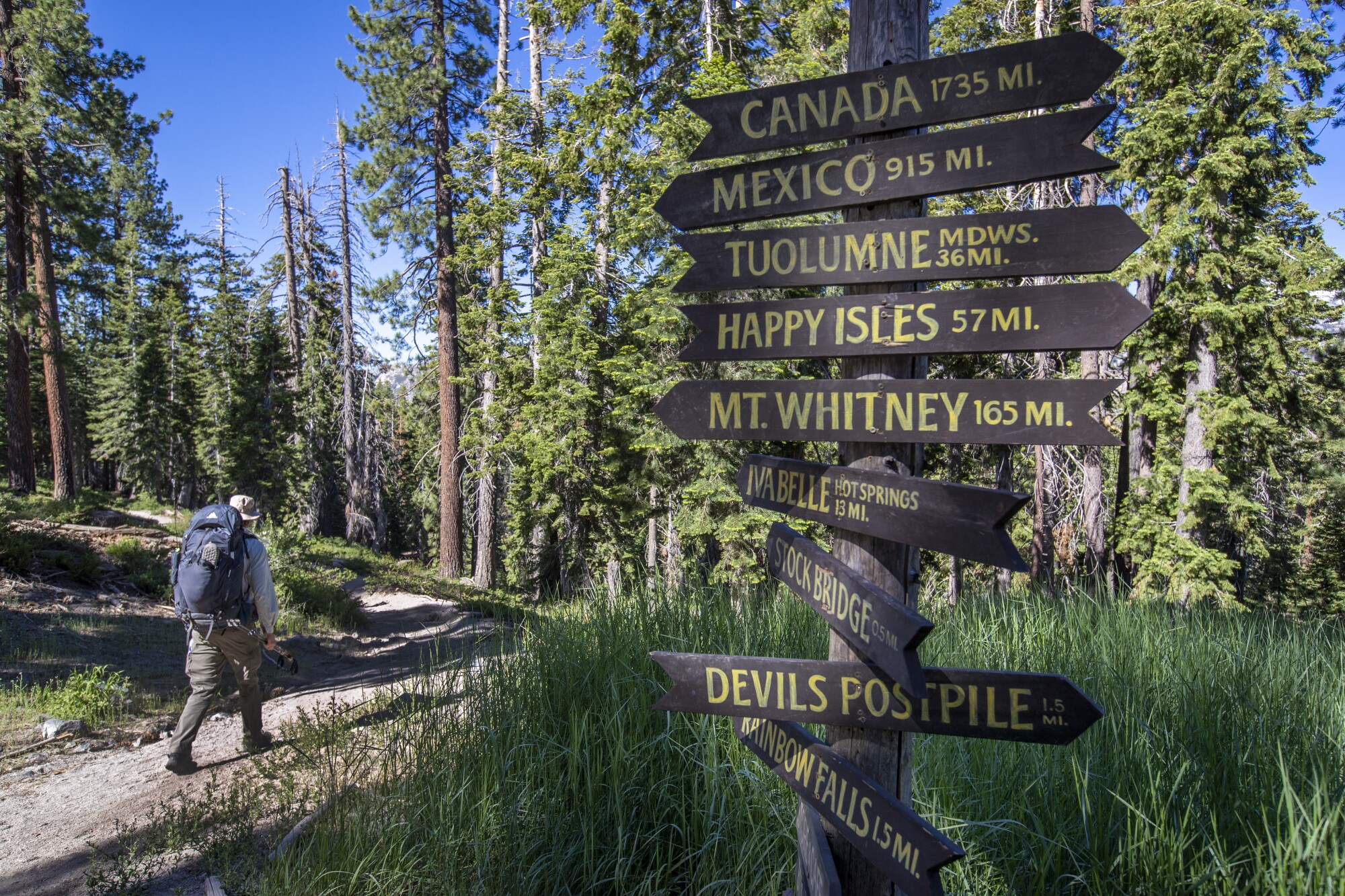 A hiker passes a signpost amid evergreens. 