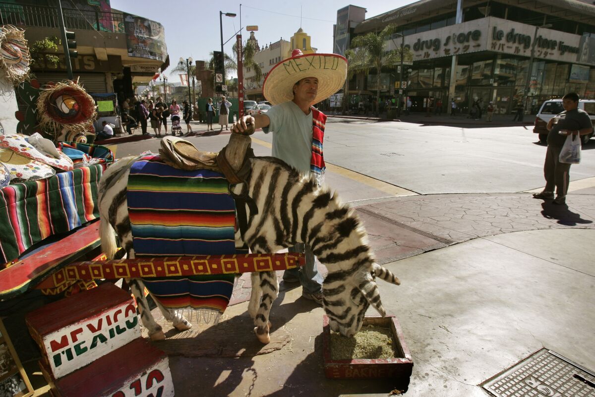 Eduardo Perez waits for tourists with his burro named Barney, painted like a zebra, on Avenida Revolución in Tijuana. The burro cart photo-op tradition dates back to the 1930s.