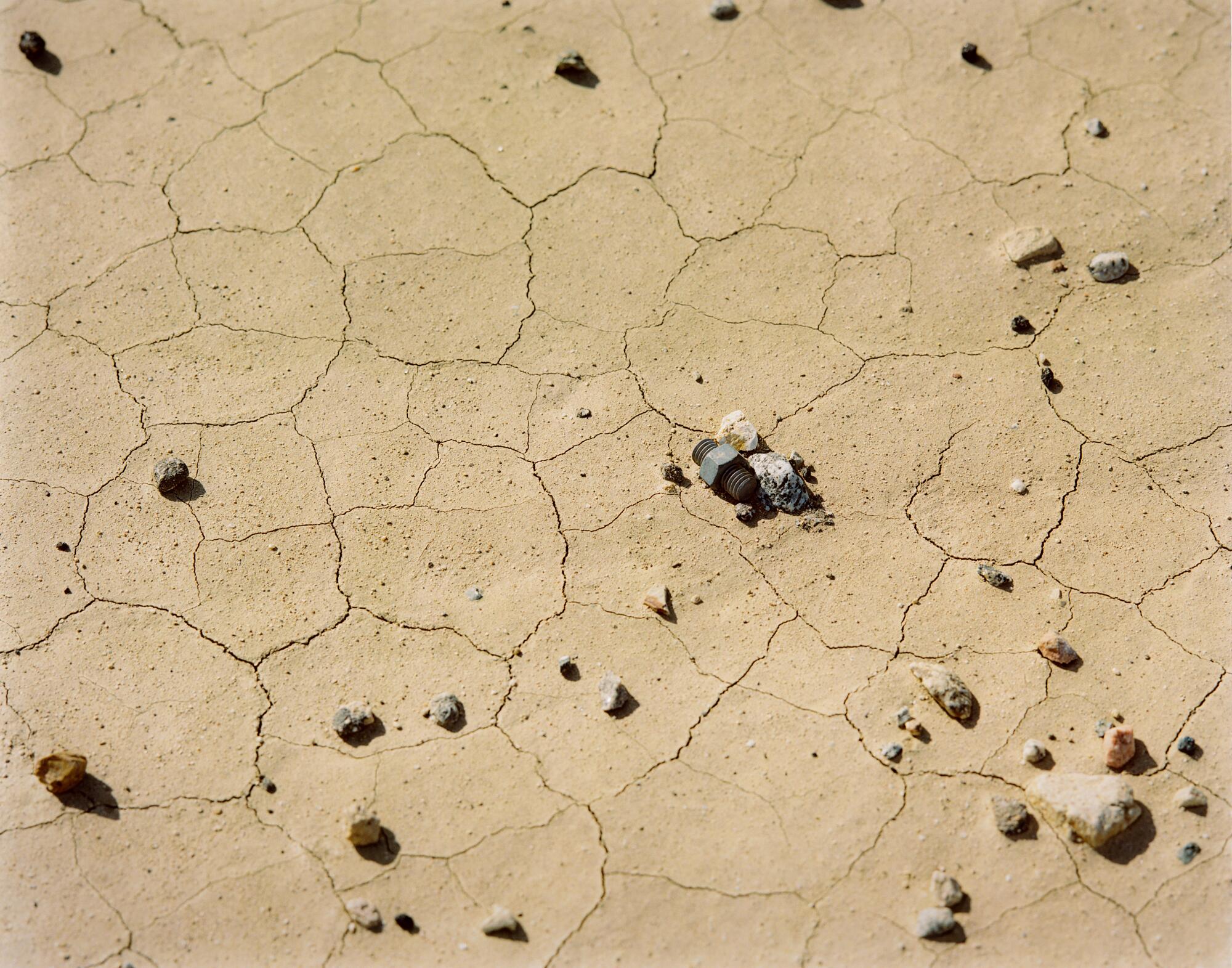 Detritus on a parched, cracked ground.