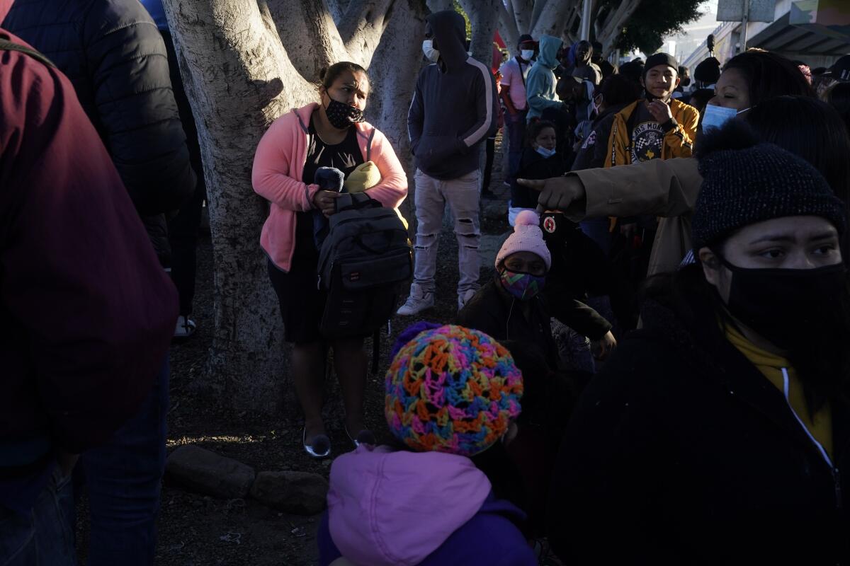 A woman seeking asylum in the United States stands against a tree