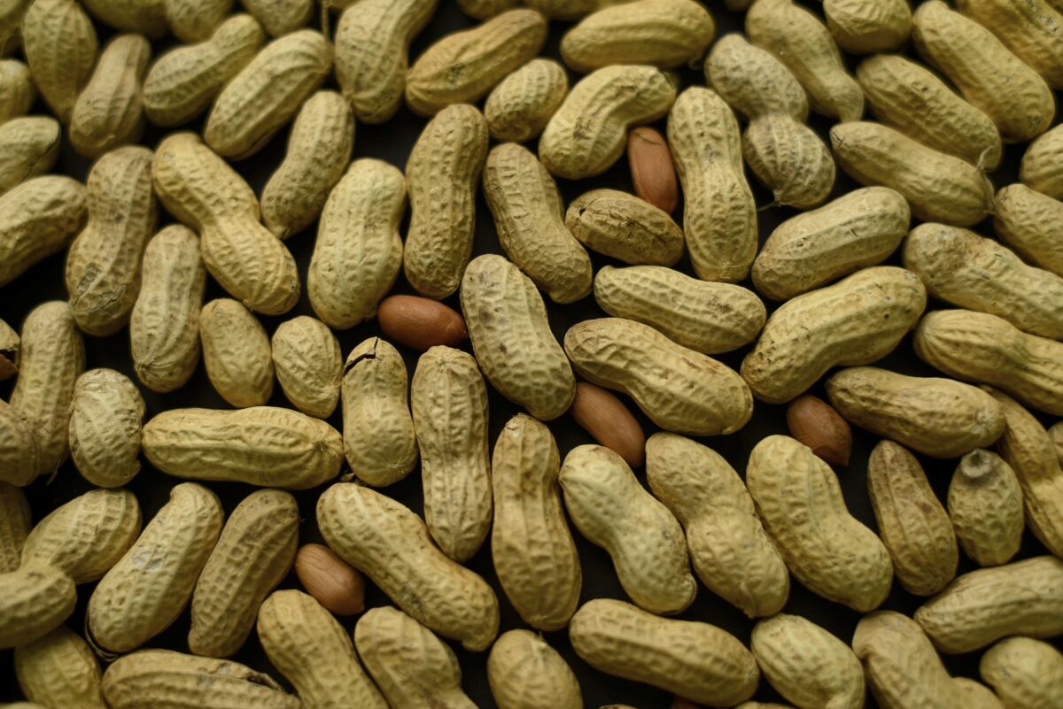 An arrangement of peanuts, most still in their shells.