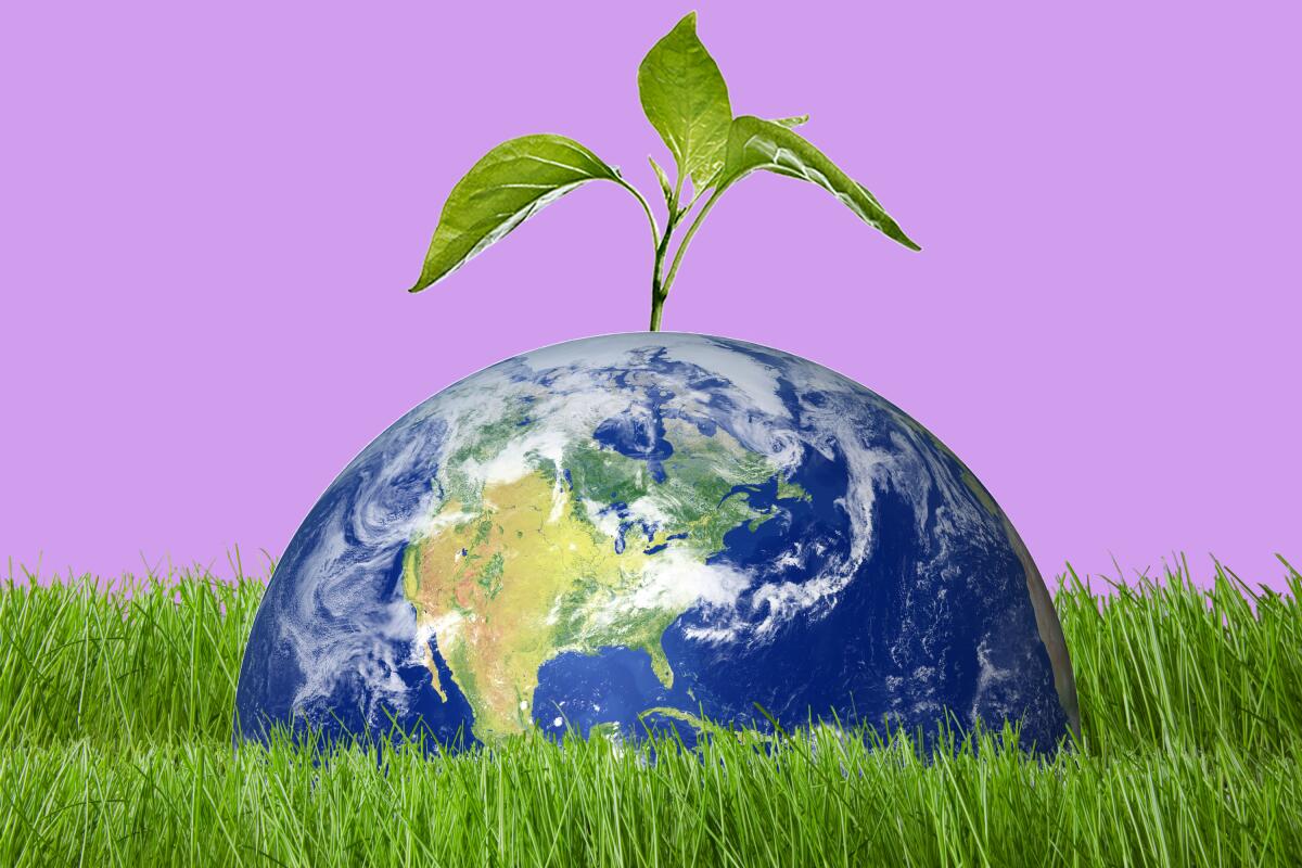 An illustration of planet Earth submerged in grass with a leaf popping out on top