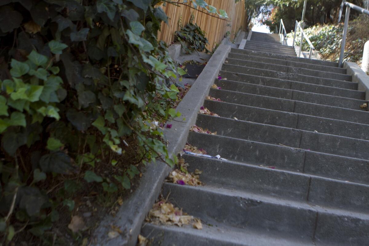 About halfway up the hill, take the staircase near 3475 Larissa Drive and climb up 96 steps.