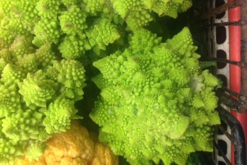 Can you guess what is this mysterious vegetable?