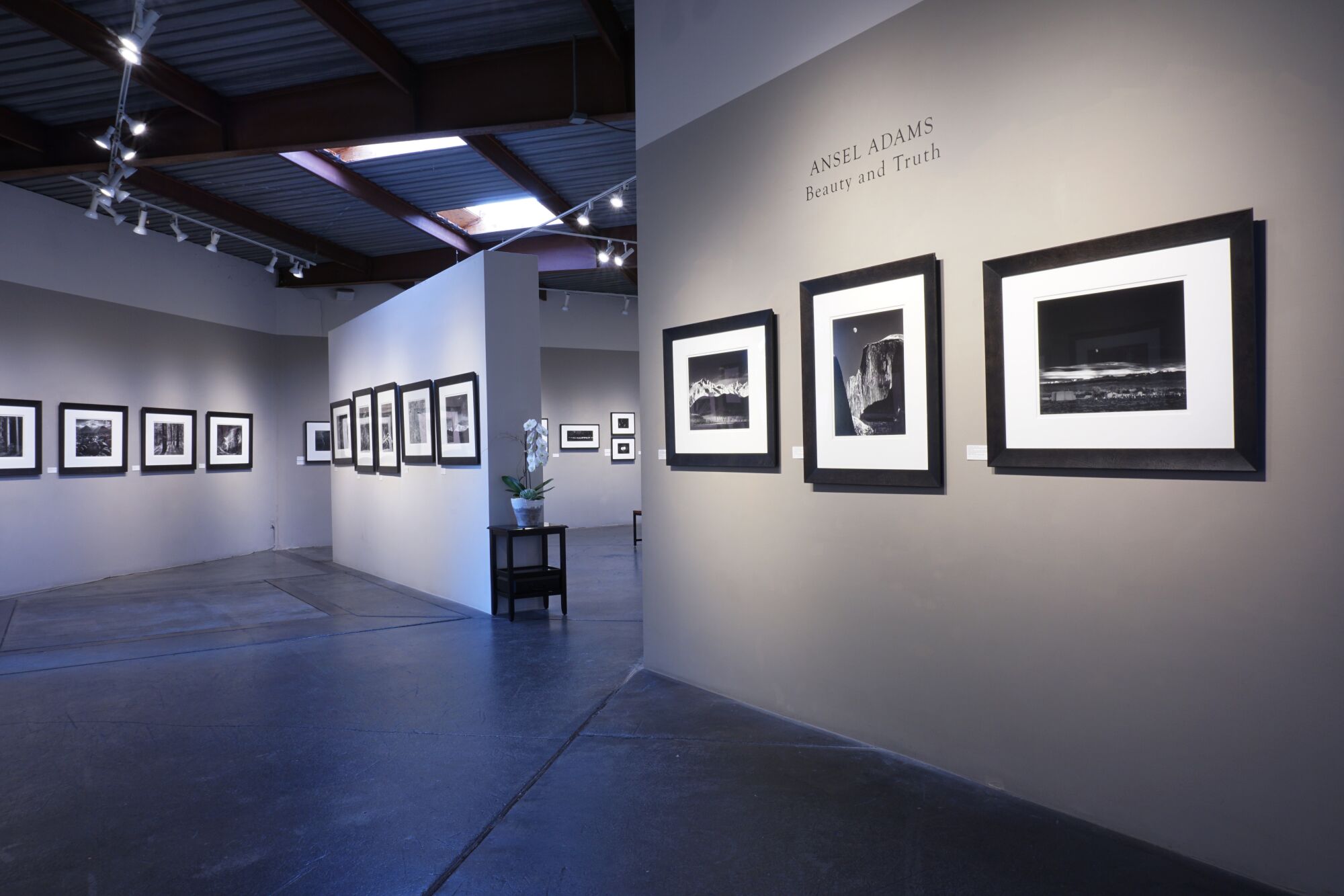 A show of photographs by Ansel Adams at Peter Fetterman Gallery was three years in the making.