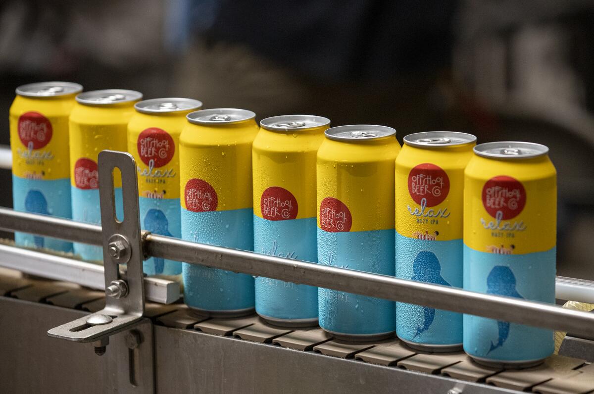 Offshoot Beer Co.'s Relax Hazy IPA is freshly canned on the line at the Bruery.