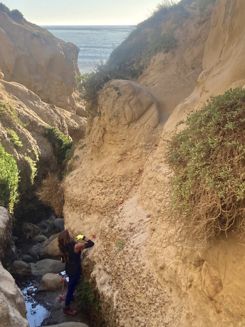 Ho Chi Minh Trail
