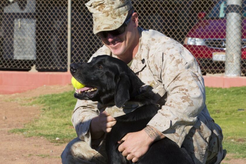 Marine Sgt. Andrew Mulherron reunites with Boone on Thursday at Twentynine Palms.