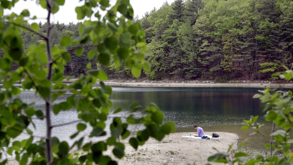 Walden Pond in May 2017.