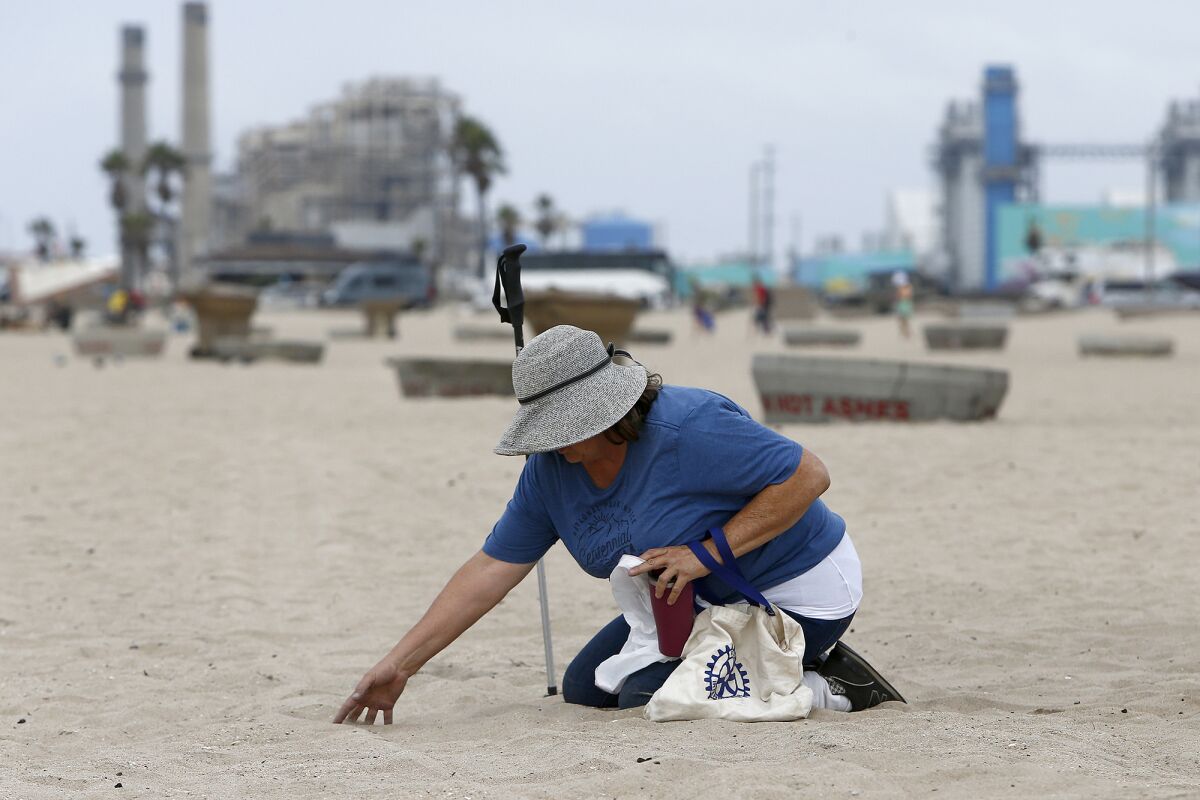 Amanda Vlietstra combs the sand with her fingers as she searches for micro-trash during a beach cleanup event on Saturday.