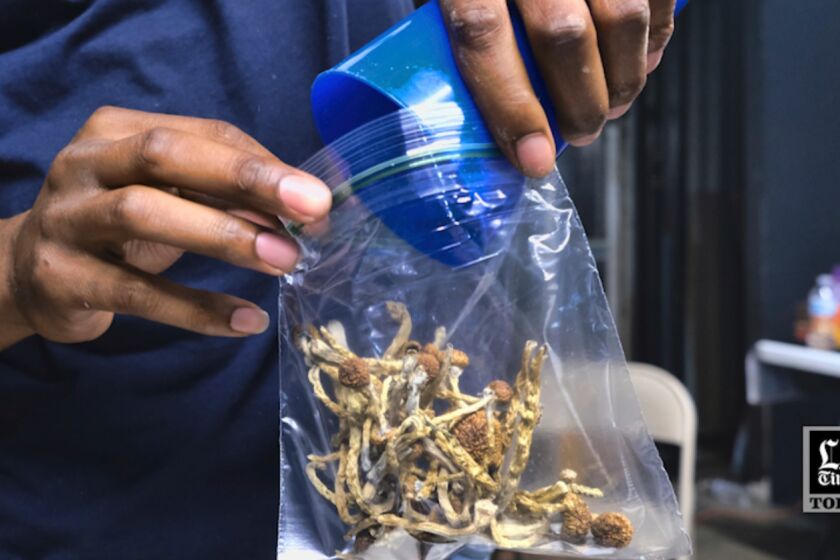LA Times Today: L.A. dispensaries openly sell ‘magic mushrooms’ as state weighs decriminalization