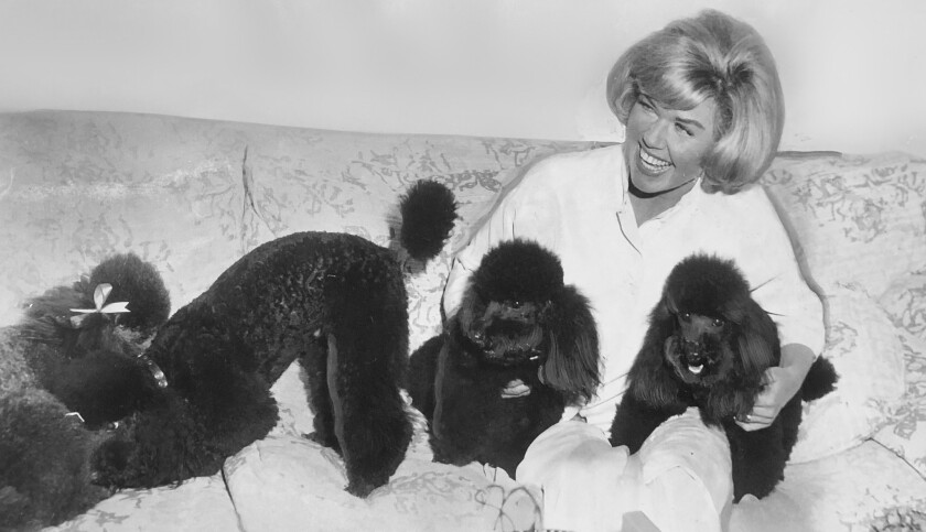 Doris Day with poodles at the Cypress Inn