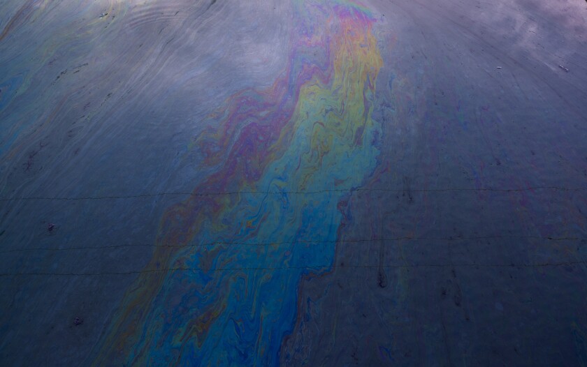 A rainbow sheen of oil on the surface of the water