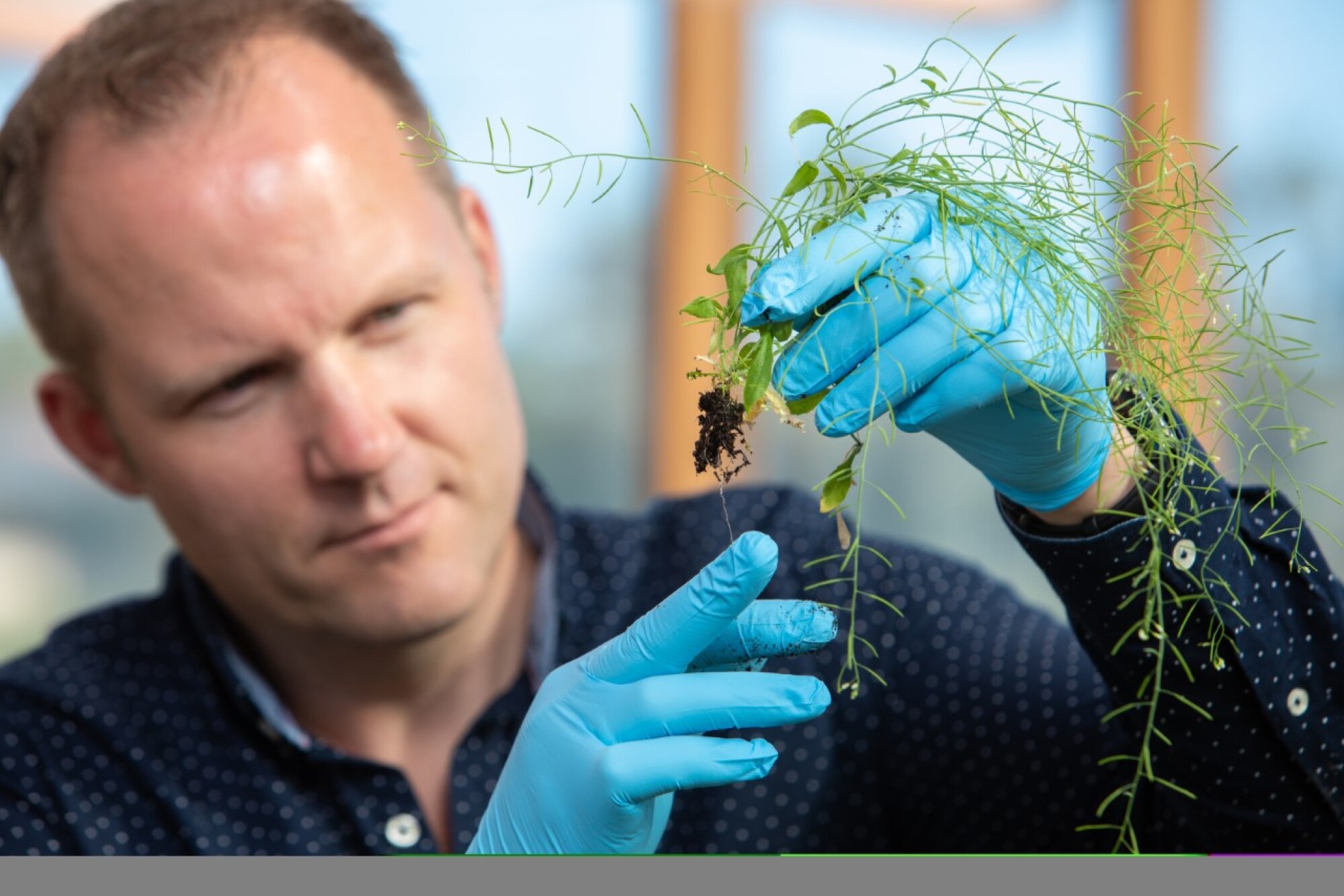 Wolfgang Busch will cultivate plants that might help in the fight against climate change.