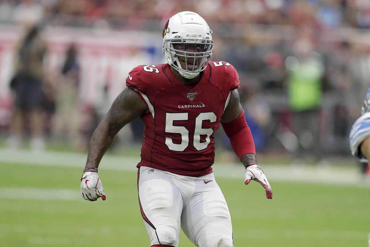 Terrell Suggs sports No. 56 as a member of the Arizona Cardinals. 