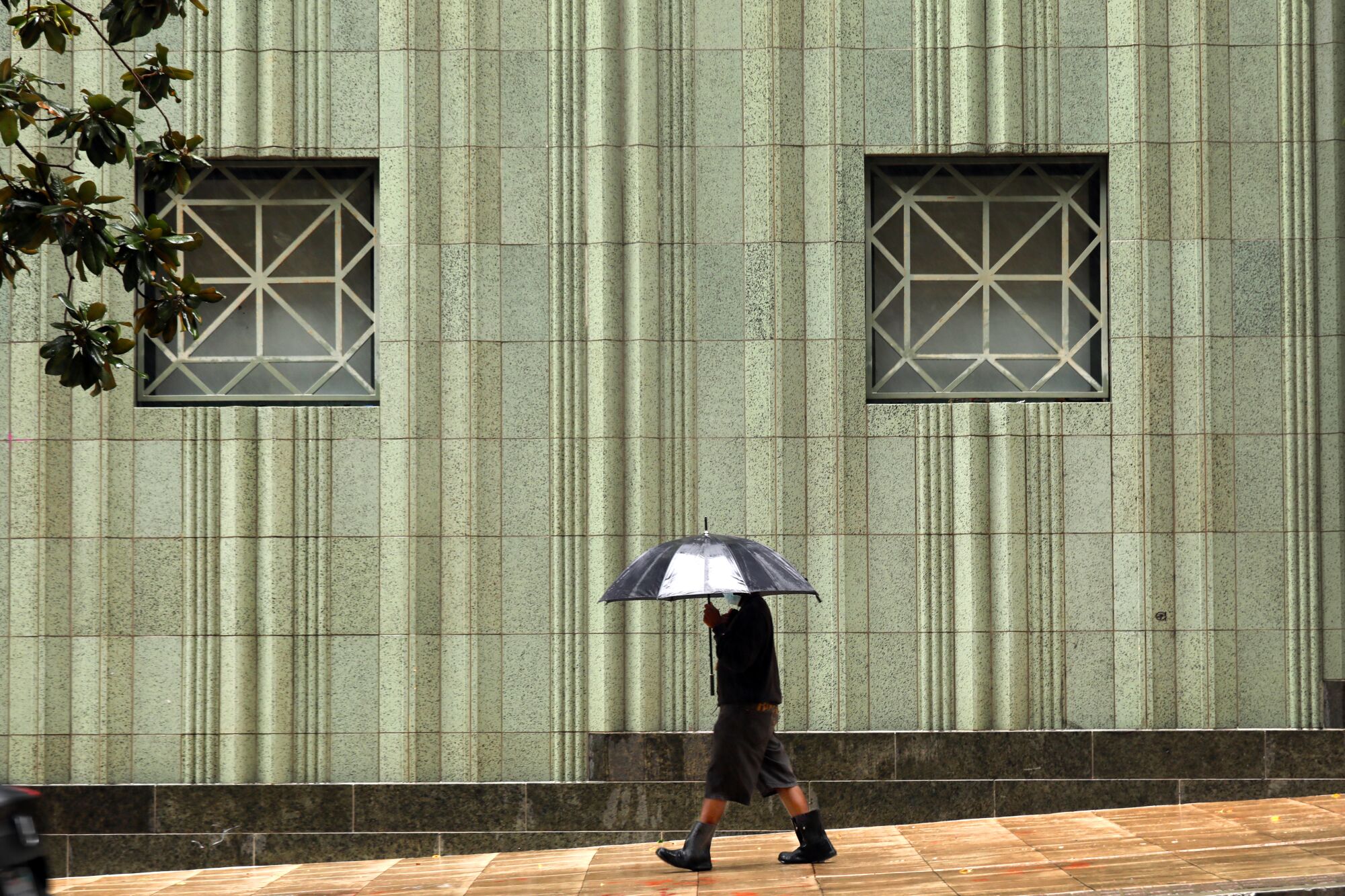 A person carrying an umbrella.