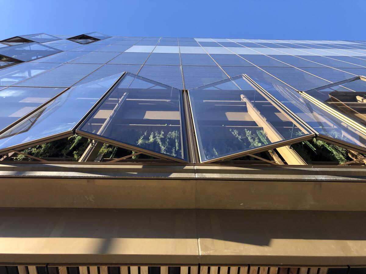Look upward at a multistory building with glass windows, some of the windows are cracked open.