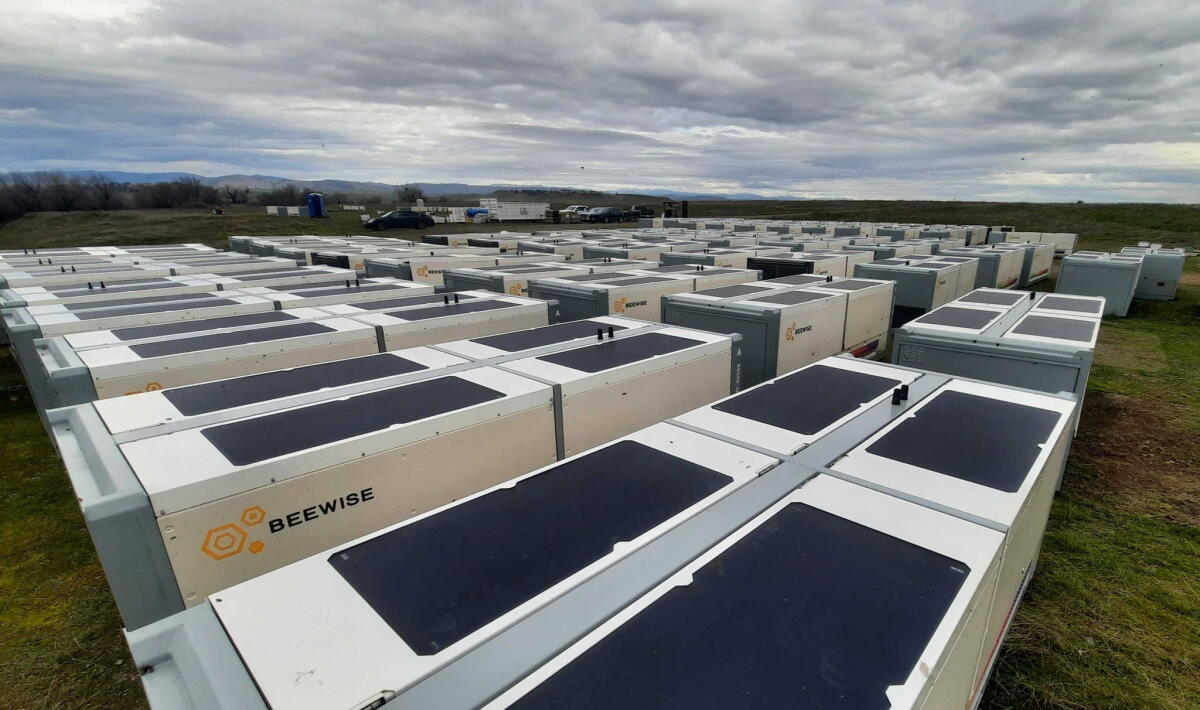 Bee Powered Computer How AI is lowering the risk of bee colony collapse in California - Los ...