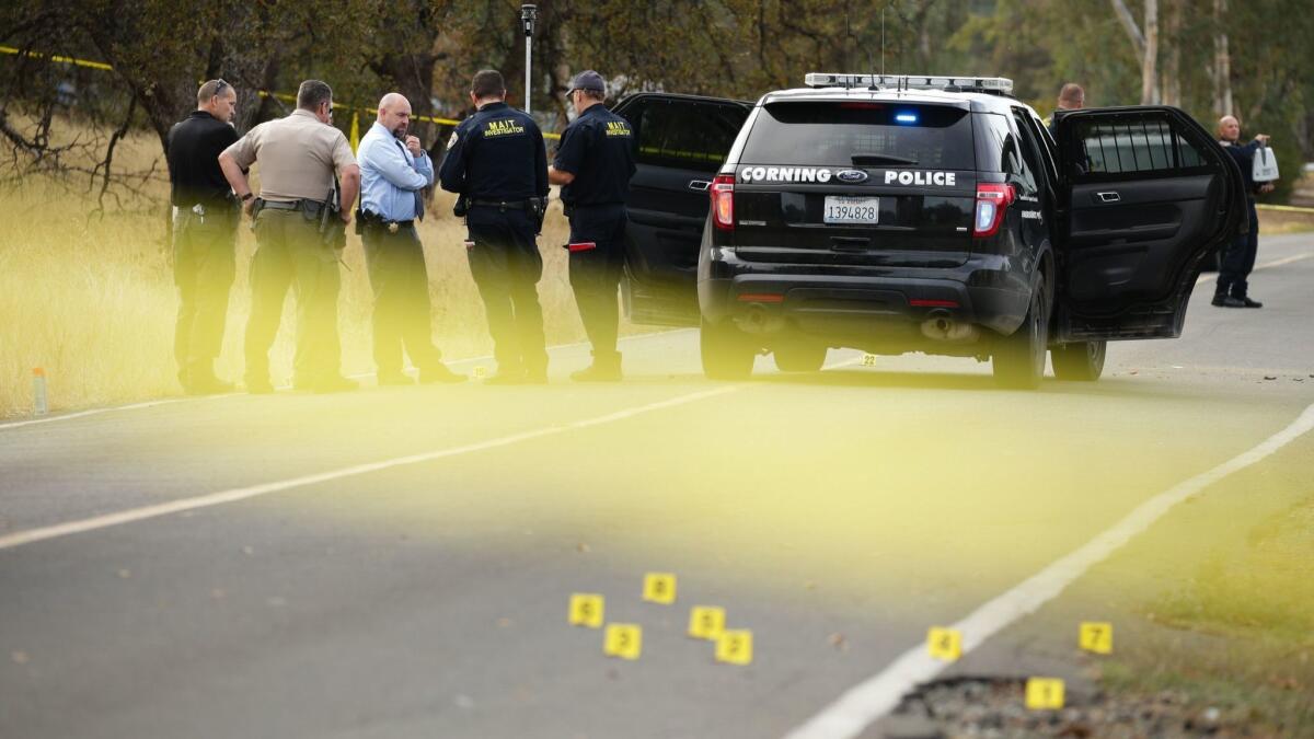 Investigators converse near a police vehicle after an shooting attack last year in Rancho Tehama, Calif., that left five people dead and 14 wounded. Shooters cause more deaths and injuries when they use a semiautomatic rifle, new research suggests.